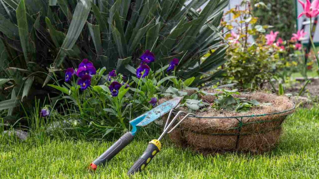 Get Better at Gardening