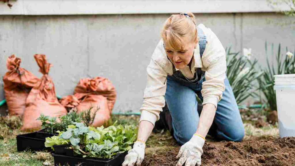 10 Steps to Planting a Garden