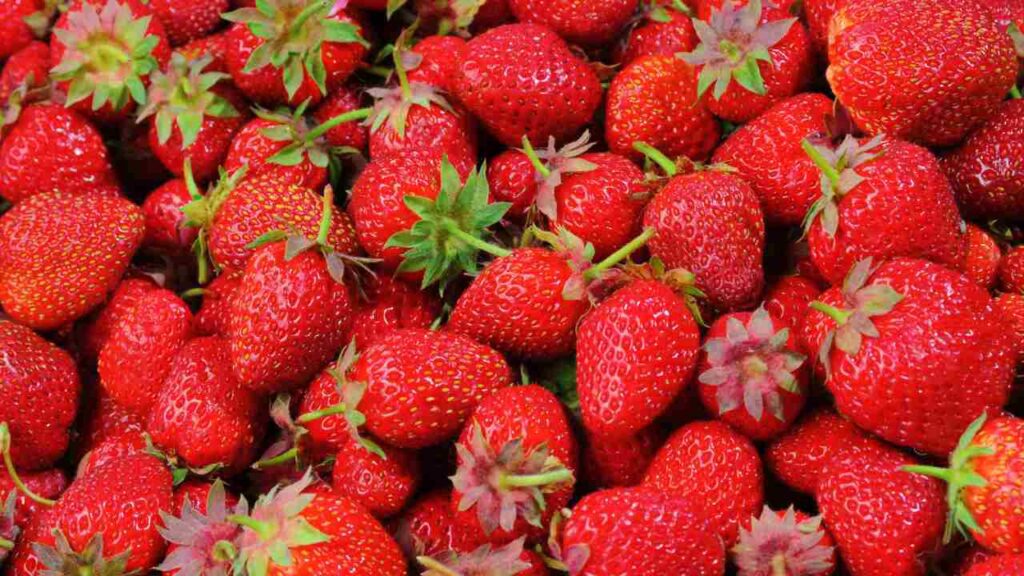 How to Grow Strawberries