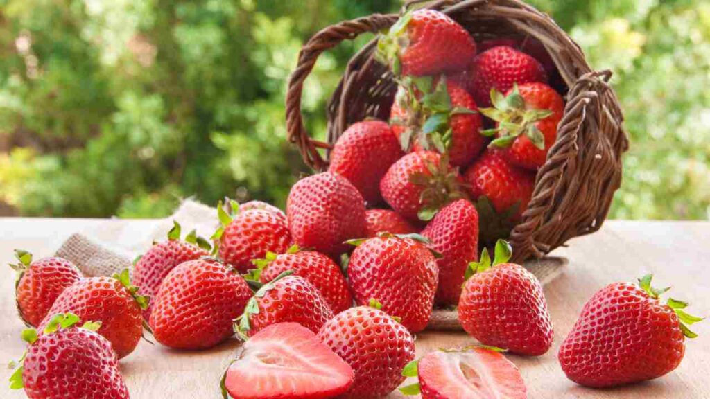 How to Grow Strawberries