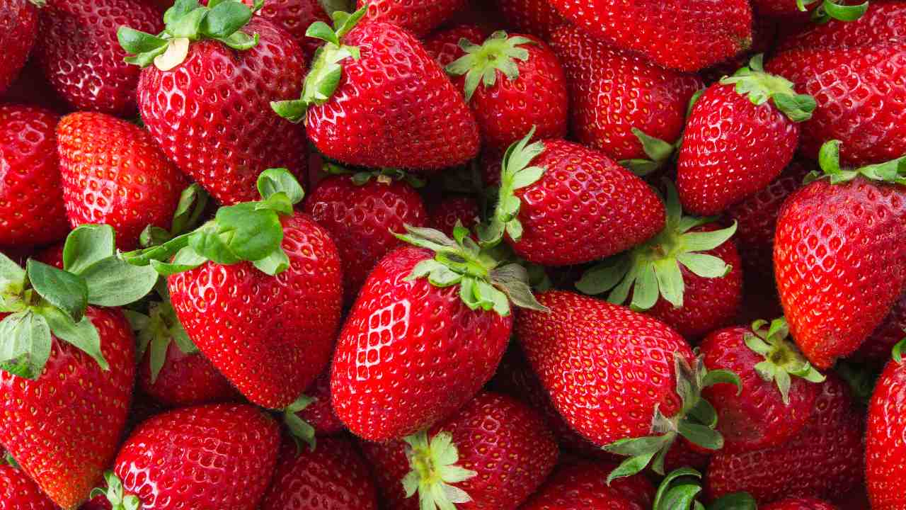 How to Grow Strawberries