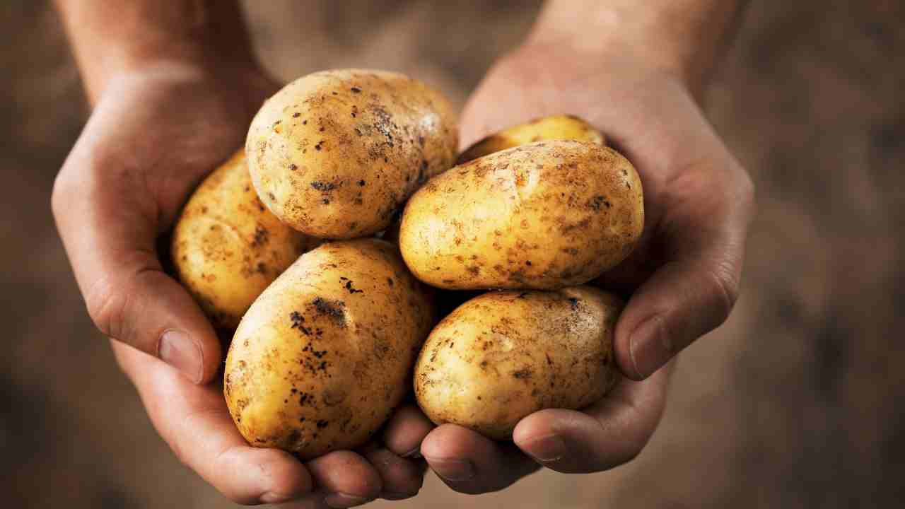 How to Grow Potatoes