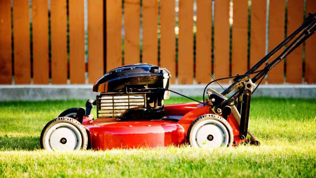 best lawn mower zero turn
