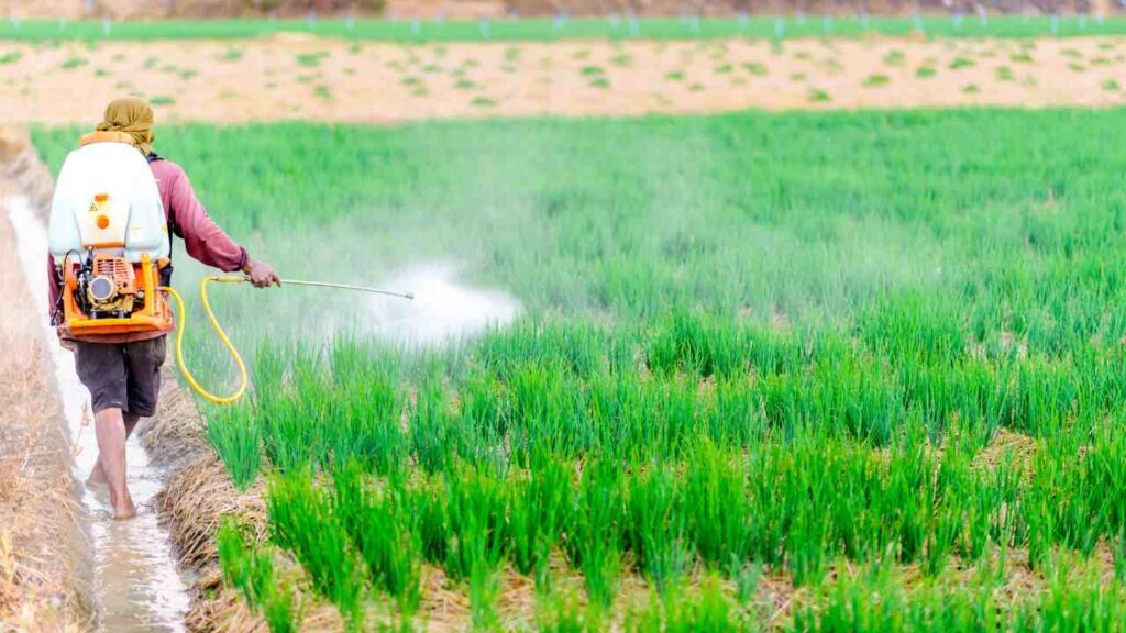 What is the best natural pesticide?