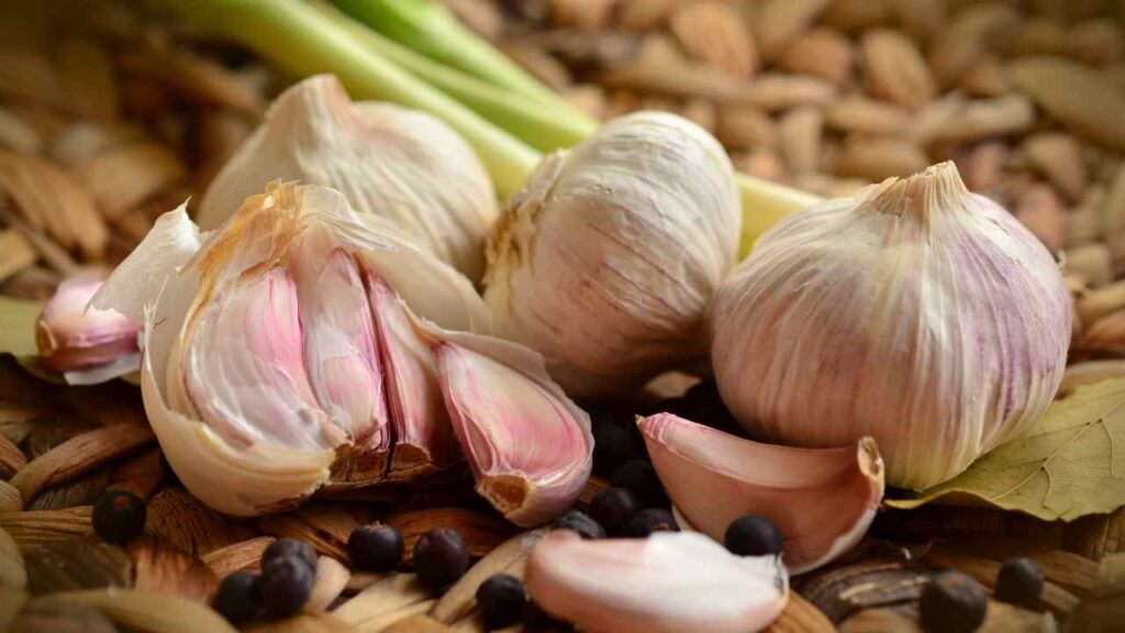 how to grow garlic
