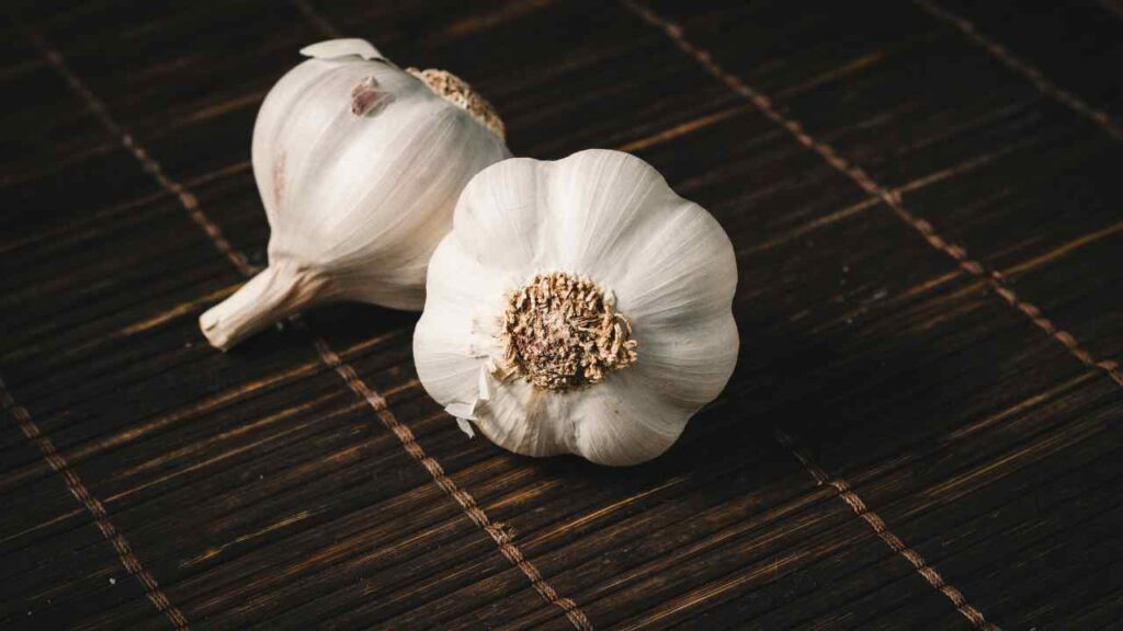 how to grow garlic
