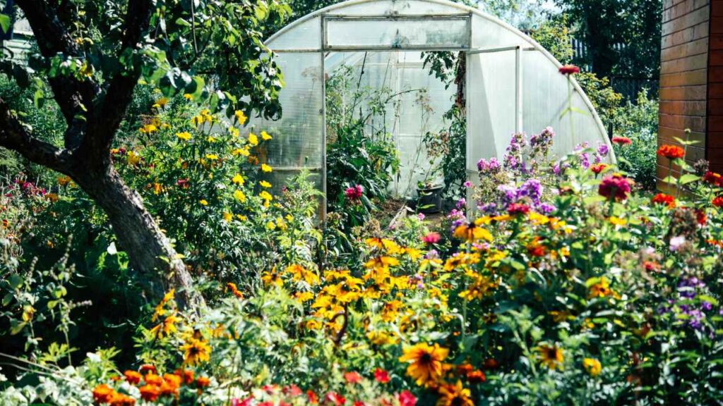 how to build a greenhouse