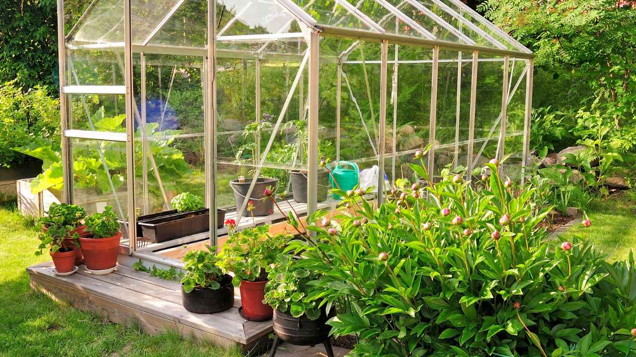 how to build a greenhouse