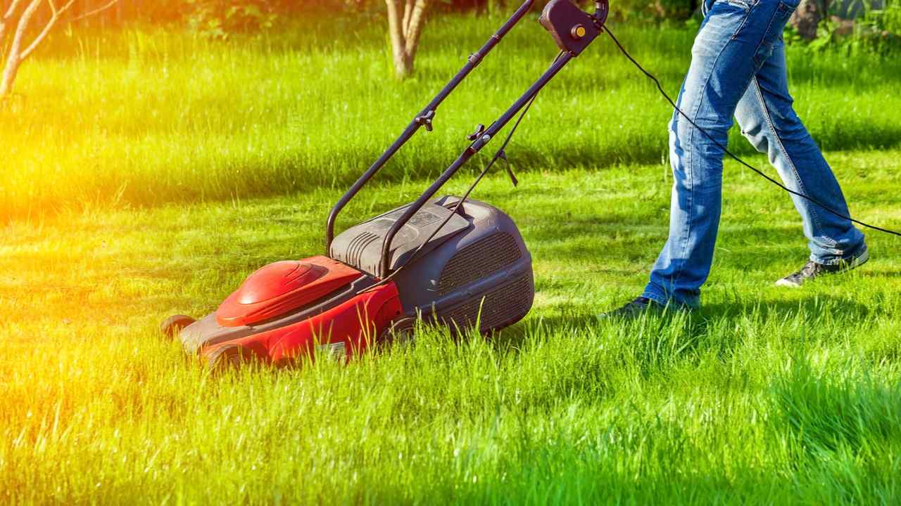 best lawn mower electric