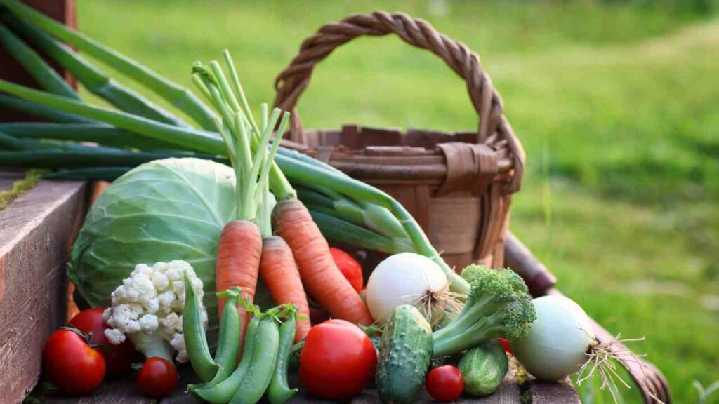 top 10 fastest growing vegetables