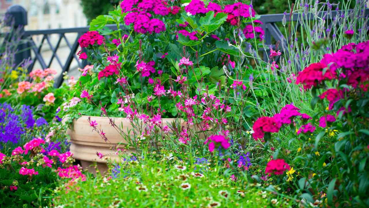 container gardening for beginners