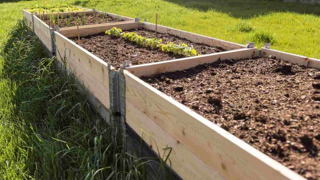 DIY garden box